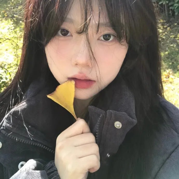 狐及其友